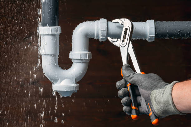 Professional Leak Detection technician working in Loughman, FL